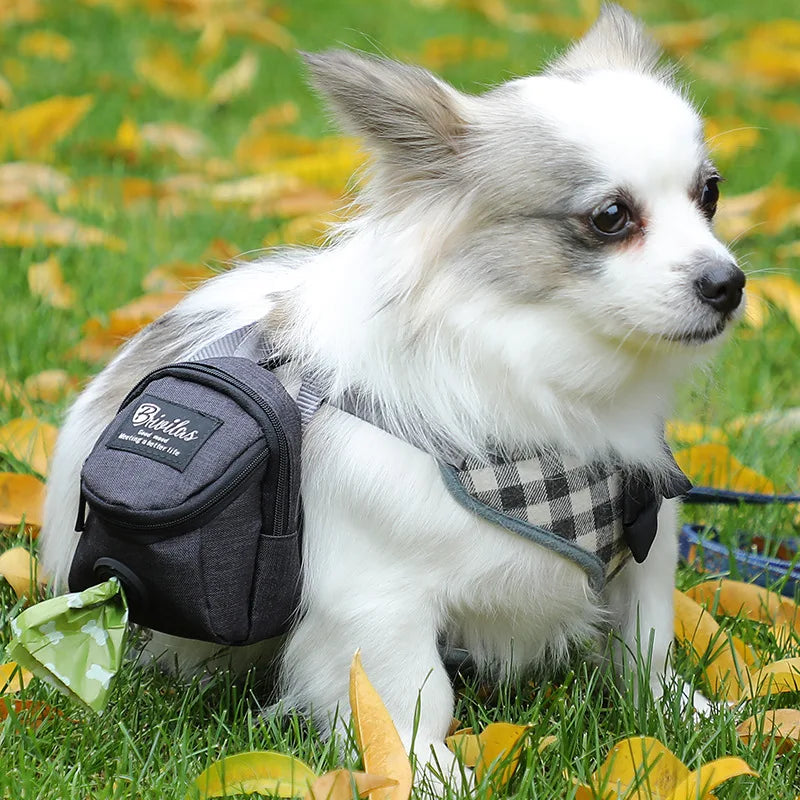 Dog Treat & Waste Dispenser Bag