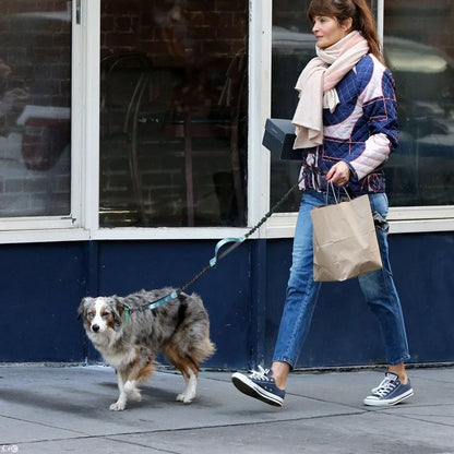 Hands Free Dog Leash