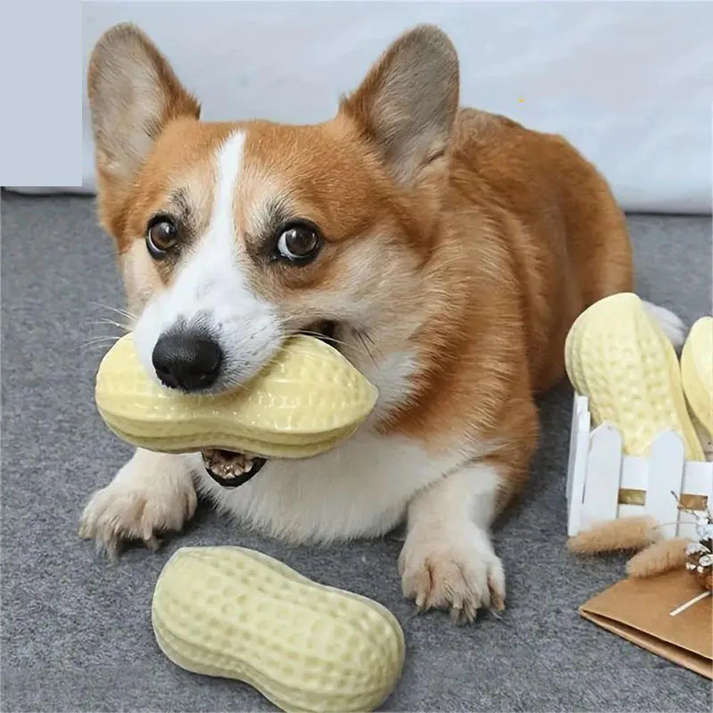 Peanut & Corn Squeaky Dog Chew Toy
