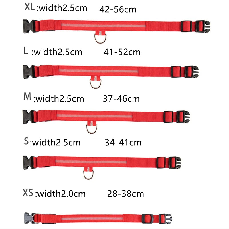 LED Luminous Dog Collar – USB Rechargeable & Detachable Night Safety Collar for Pets