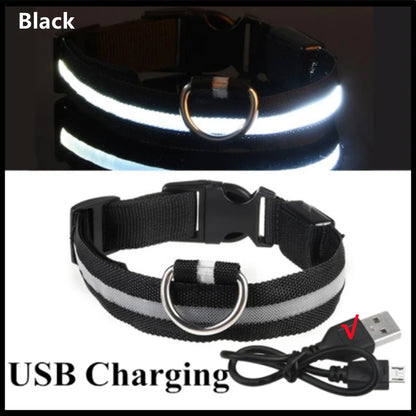 LED Luminous Dog Collar – USB Rechargeable & Detachable Night Safety Collar for Pets