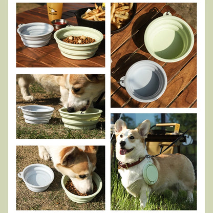 Pet Folding Silicone Bowl