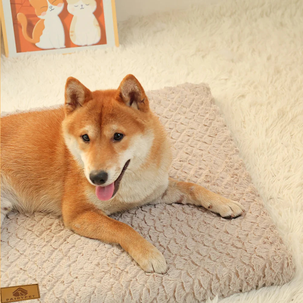 Memory Foam Pet Bed with Removable Cover - Orthopedic Waterproof Dog Bed