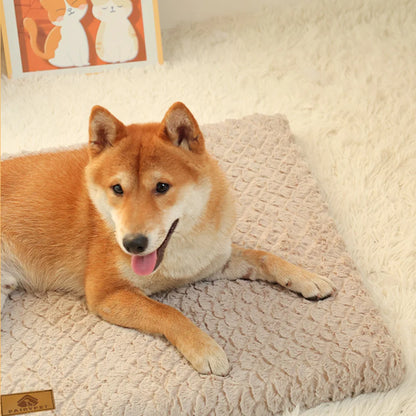 Memory Foam Pet Bed with Removable Cover - Orthopedic Waterproof Dog Bed