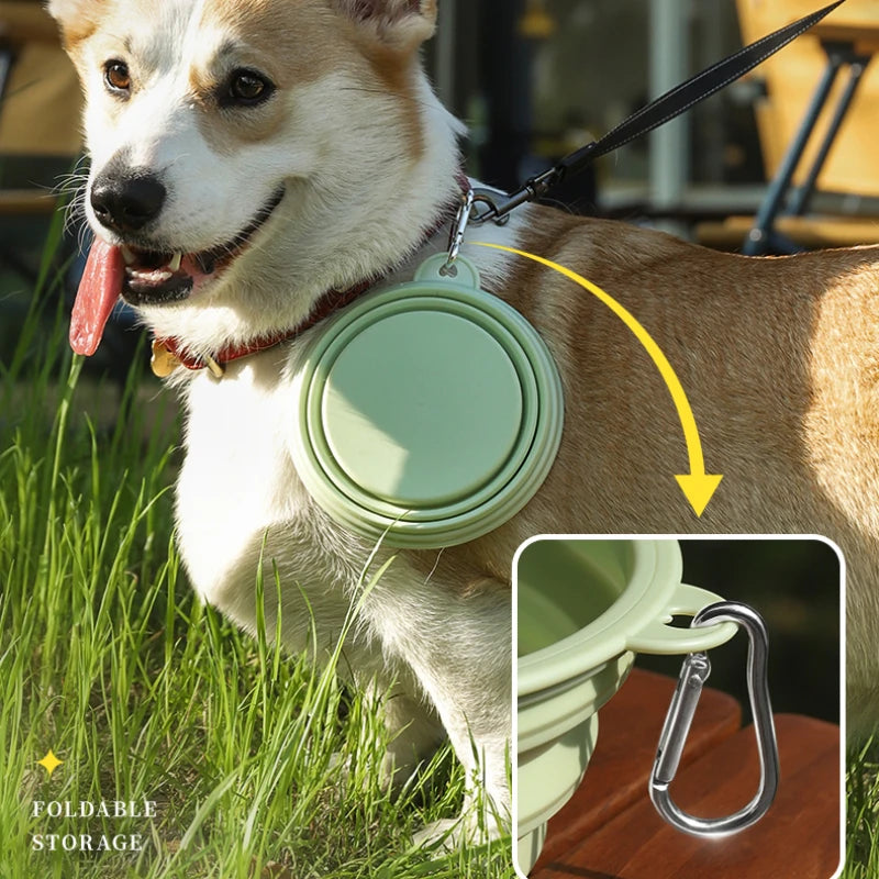 Pet Folding Silicone Bowl