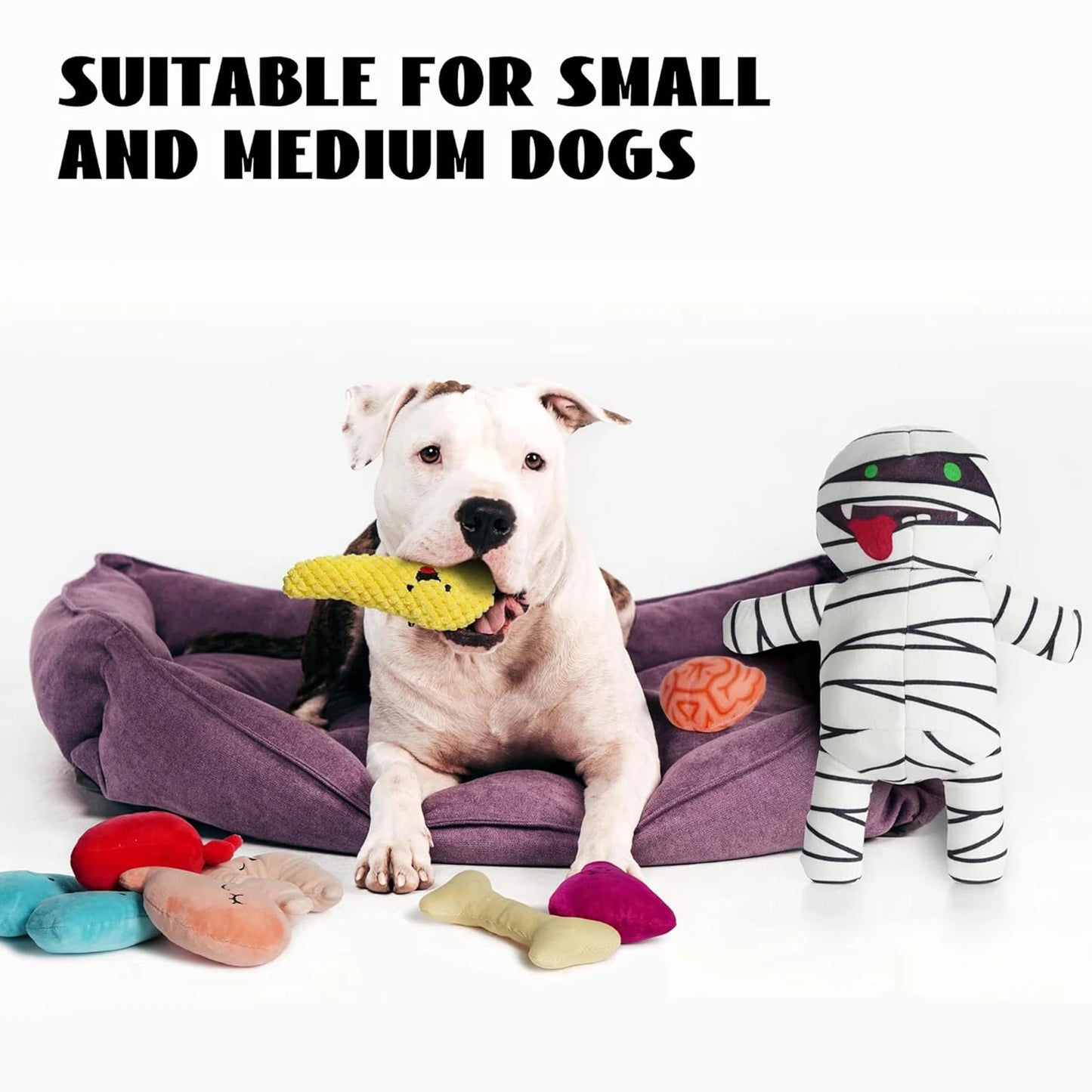 MummyMonster 9-in-1 Squeaky Dog Toy with Hidden Organs | Interactive Plush Chew Toy for Dogs