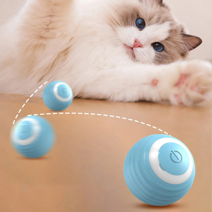 Automatic Moving Ball for Cats