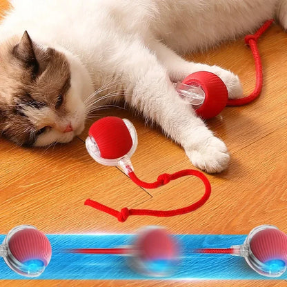 Interactive Ball for Cats and Dogs