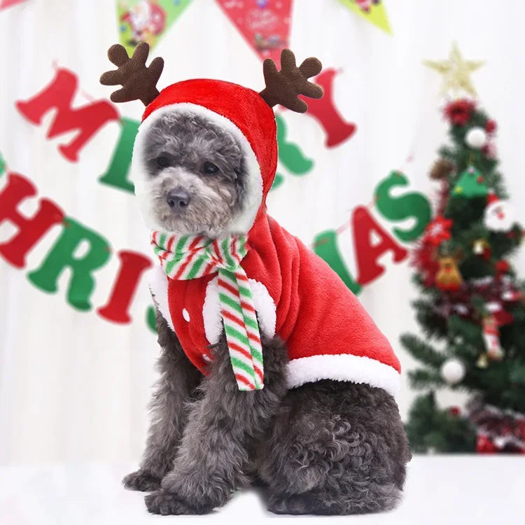 Festive Cartoon Dog Costume