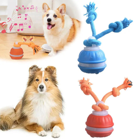 Smart Interactive Rechargeable Dog Ball – Automatic Motion Training Toy