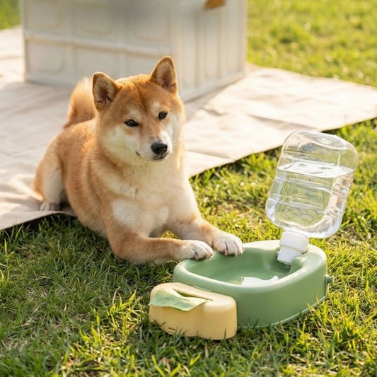 CarrotSip - Portable Pet Water Bottle & Collapsible Bowl