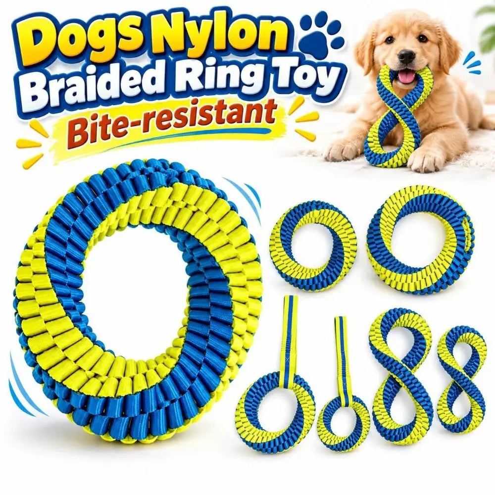 Interactive Nylon Rope Dog Toy 🐶🪢