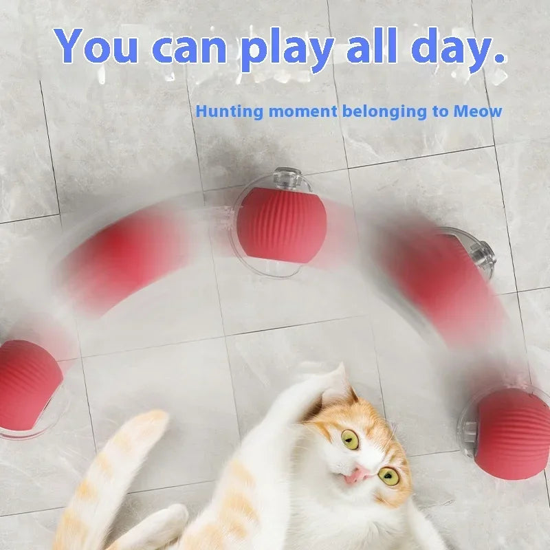 Interactive Ball for Cats and Dogs