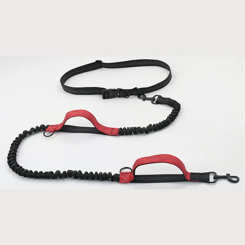 Reflective Dual-Elastic Hands-Free Dog Leash