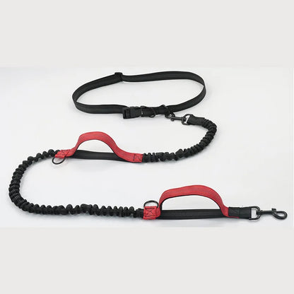 Reflective Dual-Elastic Hands-Free Dog Leash