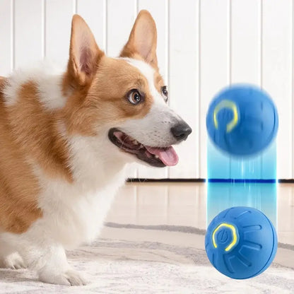 BouncySmart Dog Ball