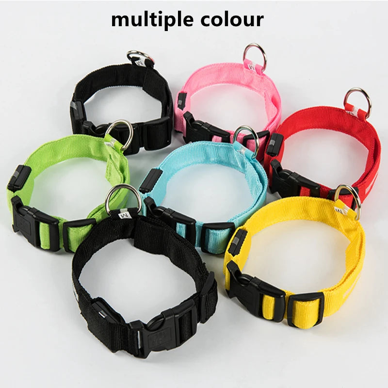 LED Luminous Dog Collar – USB Rechargeable & Detachable Night Safety Collar for Pets