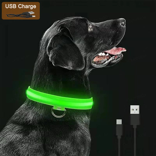 LED Luminous Dog Collar – USB Rechargeable & Detachable Night Safety Collar for Pets
