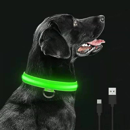 GlowGuard - 3 Mode LED Safety Collar