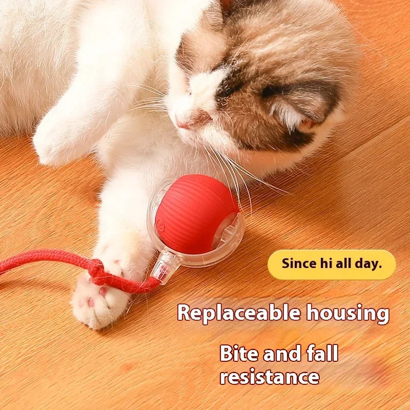 Interactive Ball for Cats and Dogs