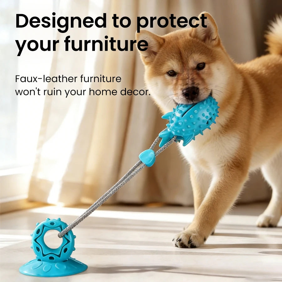 TugMaster – Interactive Suction Tug Toy 🐶💪