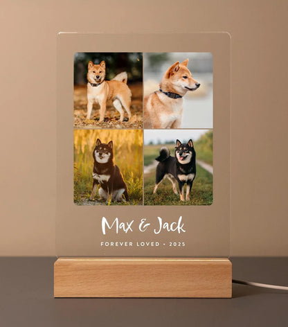 Eternal Paws – Personalized Pet Memorial