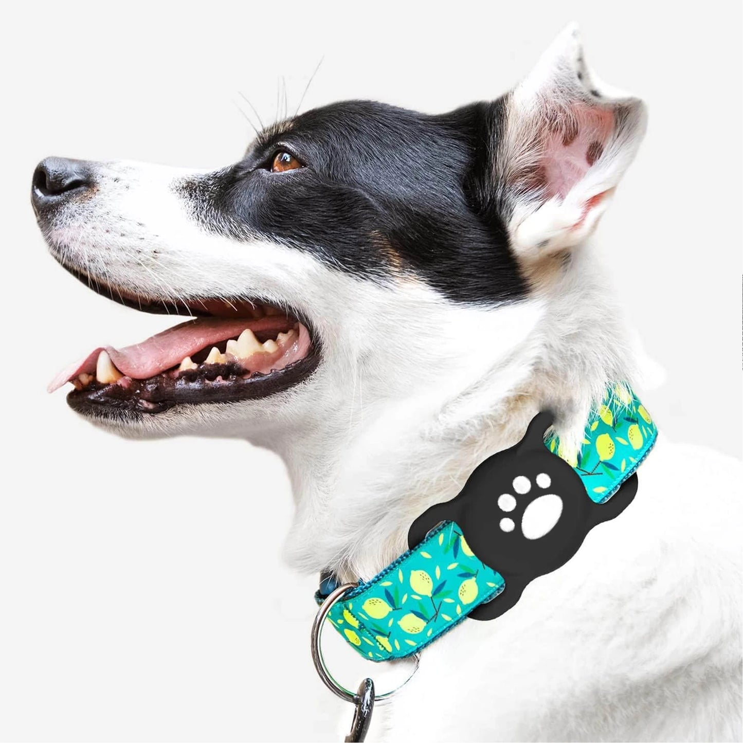 GlowPaw Silicone AirTag Holder for Cat & Dog Collars