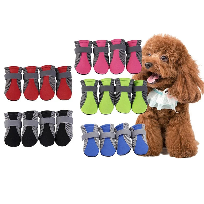 Dog Shoes