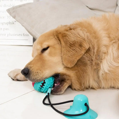 PawGrip - Interactive Dog Chew & Treat Toy