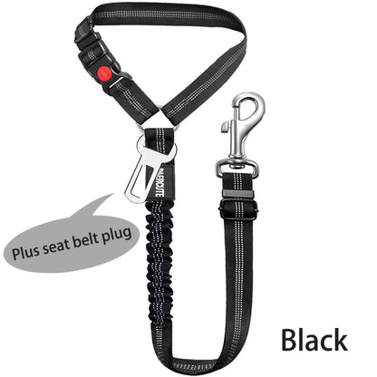SafeRide 2-in-1 Pet Seat Belt Leash