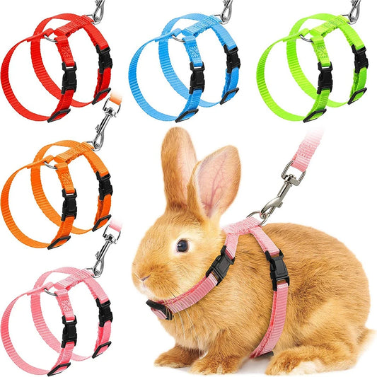 Rabbit & Cat Harness and Leash Set
