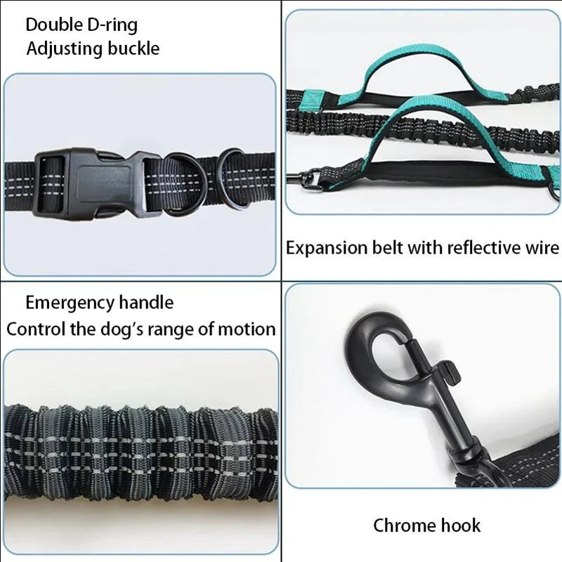 Reflective Dual-Elastic Hands-Free Dog Leash