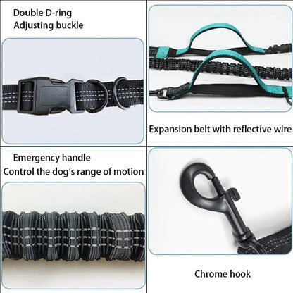 Reflective Dual-Elastic Hands-Free Dog Leash