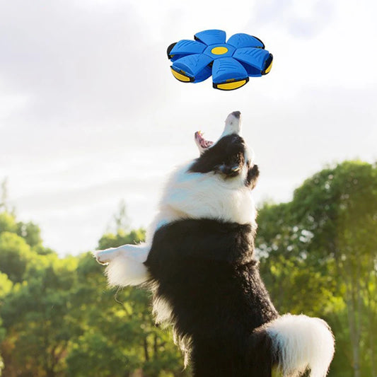 The Magic UFO Ball – Flip, Fly & Bounce Adventure