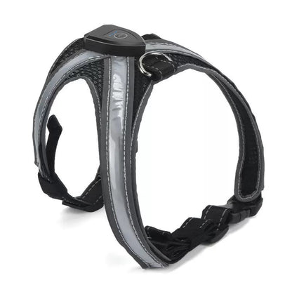 GlowTrail LED Dog Harness