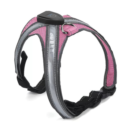GlowTrail LED Dog Harness
